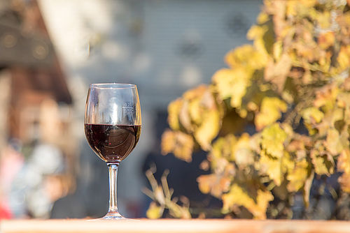 Pflanze und Produkt: Im Vordergrund steht ein Glas Rotwein, im Hintergrund rankt eine Weinpflanze.