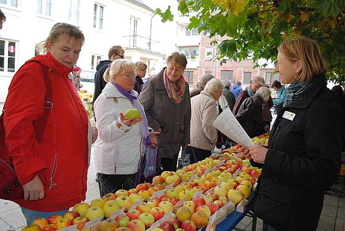 Apfelmarkt mit seiner Sortenausstellung
