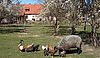 urticahofbatzlow: urticahof.de
