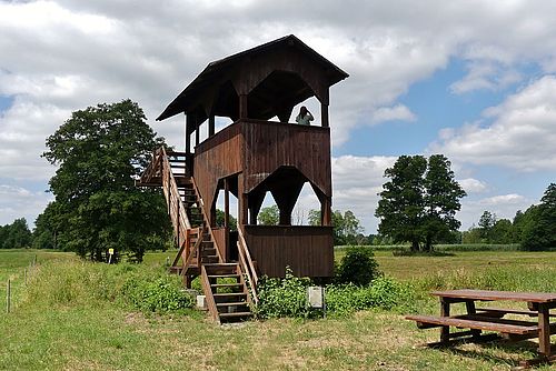Beobachtungsturm auf einer grünen Wiese, im Hintergrund Bäume