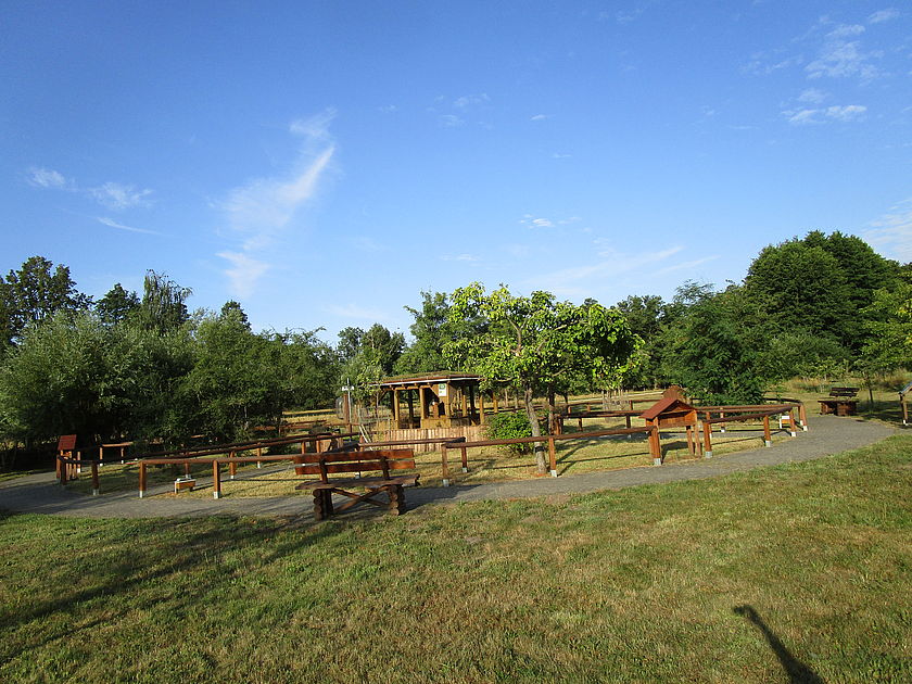 Auf einer Wiese mit Bäumen im Hintergrund sind Bänke, Zäune und Infotafeln kreisförmig angeordnet.