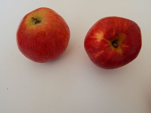 zwei rote Äpfel