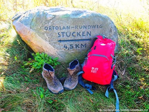 Findling Ortolan Rundweg (Foto: Hans-Helmut Braun, Fotowettbewerbsteilnehmer 2012) 