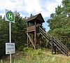 Aussichtsturm aus Holz umgeben von Bäumen.
