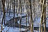 Der Stobberbach fließt frei durch einen Winterwald nahe Waldsieversdorf.