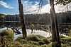 An einem klaren Himmel scheint die Sonne auf den Teufelssee, ein Toteissee, der im Naturpark Schlaubetal liegt.