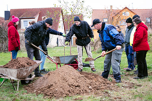 Menschen stehen auf einer Wiese um einen frisch eingepflanzten jungen Obstbaum. Zwei davon schaufeln Erde zurück in das Erdloch.