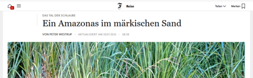Ein Bildschirmfoto des Artikels auf den Seiten der Frankfurter Allgemeinen Zeitung