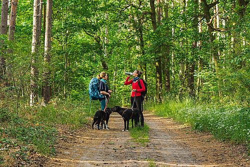 Zwei Menschen stehen mit Hunde auf einem Waldweg und trinken etwas