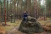 Auf einem Felsbrocken inmitten eines Kiefernwaldes sitzt ein Junge.