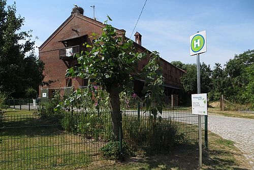 Storch auf altem Speicher im Hintergrund und davor ein Baum im Garen an einer kleinen Straße.