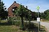 Storch auf altem Speicher im Hintergrund und davor ein Baum im Garen an einer kleinen Straße.