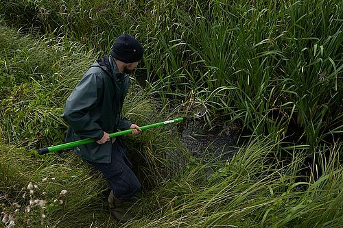 Ein junger Mann nutzt einen Kescher um Wasserlinsen und andere Vegetation aus einem Graben zu nehmen.