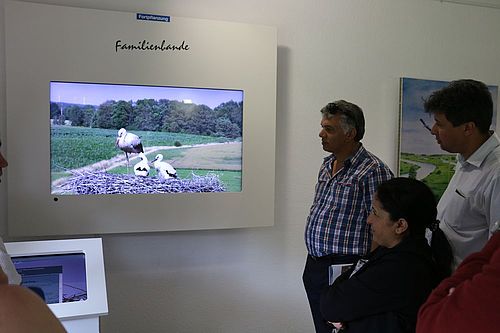 Die Besucher schauen über eine Webcam direkt ins Storchennest, das sich auf dem Dach des Besucherzentrums befindet.