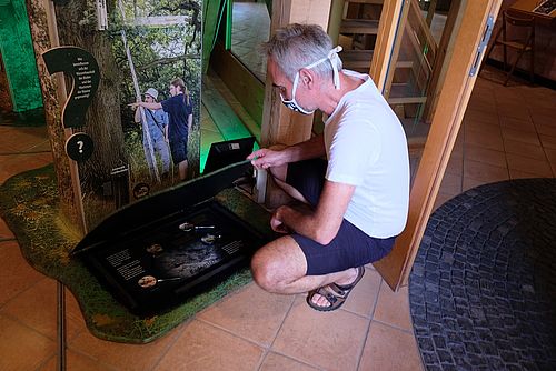 Ein Mann betrachtet ein Ausstellungsobjekt zum Boden des Auwaldes 