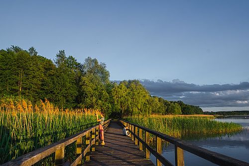 Eine Frau steht mit einem Fotoapparat auf einen Steg am See mit Blick auf den Schilfgürtel
