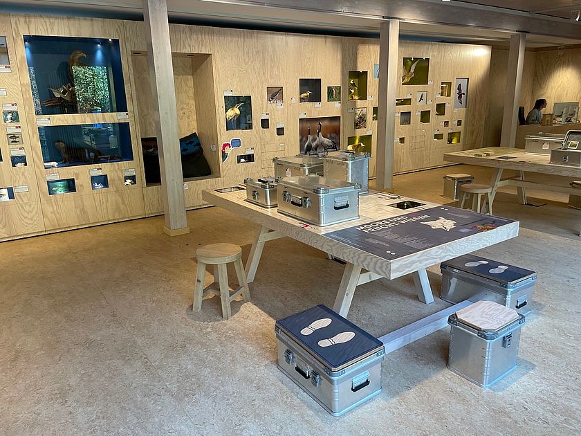  In einem Ausstellungsraum steht ein Tisch mit unterschiedlich großen Metallkisten. Auf dem Tisch sind Informationen zu Moor- und Feuchtwiesen abgedruckt. 