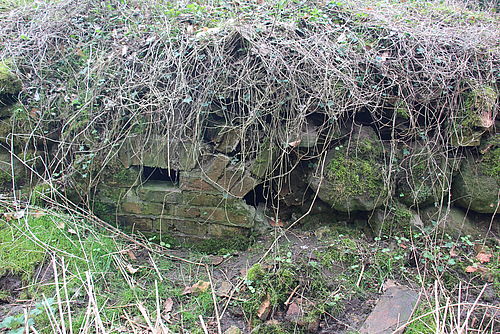 Nahaufnahme einer mit Moos und trockenem Gras bewachsenen Kelleraußenwand aus Feldsteinen und Ziegeln. Mehrere Öffnungen sind im Mauerwerk sichtbar.