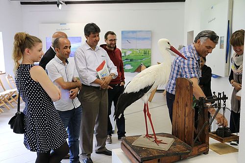 An einer Waage versucht ein Gast das Gewicht eines Storches zu ermitteln.