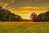 Goldene Abendstimmung über Wiesenlandschaft am Floßgraben. Im Hintergrund stehen Bäume.