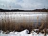 Eine winterliche Szenerie: Durch einige braune Schilfhalme fällt der Blick auf einen zugefrorenen, von etwas Schnee bestäubten Teich. Am Horizont erstreckt sich ein dunkler Wald.