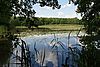 von Bäumen gesäumter Teich, auf der Wasseroberfläche blühen Seerosen und spiegeln sich die Wolken