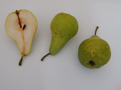 Birnen, eine aufgeschnitten