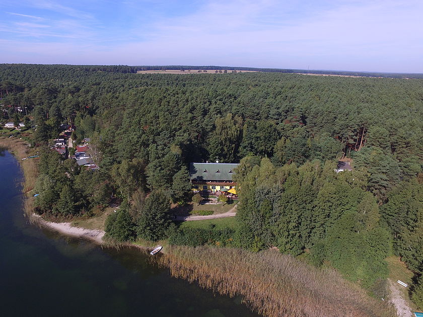 Luftaufnahme einer grünen Waldlandschaft an einem Seeufer. Inmitten der Bäume befindet sich ein großes Haus mit Terasse.