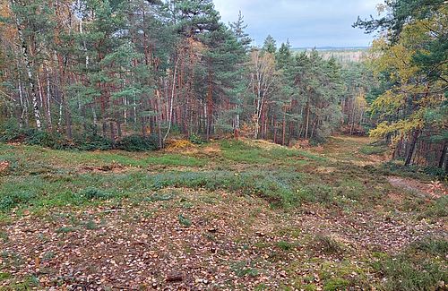Blick über einen vegetationsfreien Hang. Links udn rechts schließt Wald an.