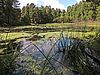 Blick auf den Trautzke-See bei Henzendorf