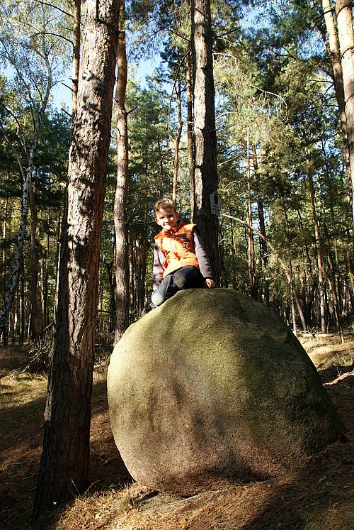 Auf einem großen Stein im Wald sitzt ein Kind.