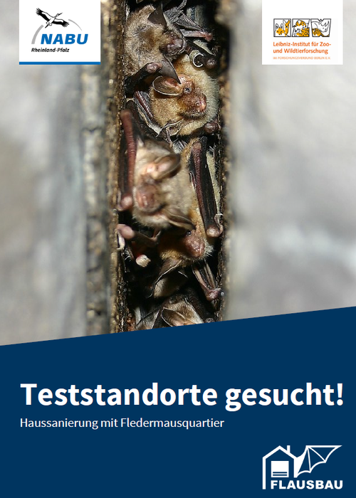 Cover Teststandorte geseucht