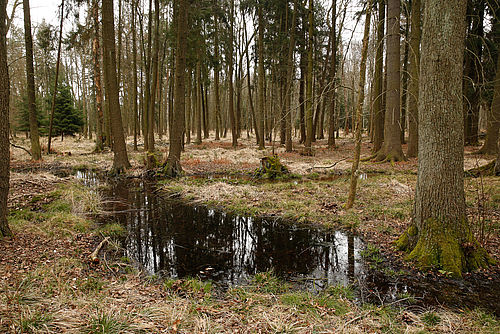 Foto: Steffen Bohl, Lizenz: Landesamt für Umwelt Brandenburg
