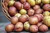 Kartoffelbörse, Foto: Stanbalik by pixabay.com