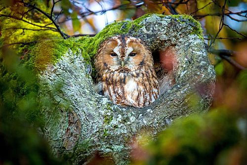 Foto: AdobeStock_Alexander Limbach, Lizenz: AdobeStock_Alexander Limbach